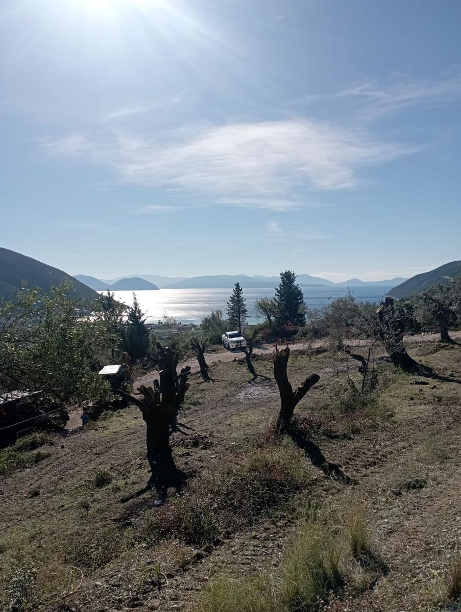 Farm parcel for sale Apollonio (Lefkada)