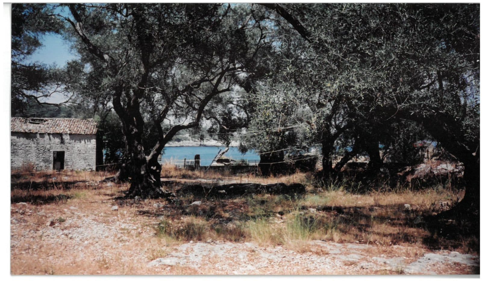 Land Plot for sale Gaios (Paxoi)